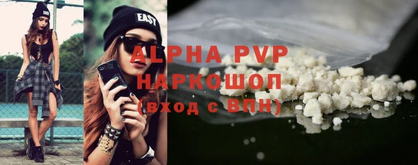 ПСИЛОЦИБИНОВЫЕ ГРИБЫ Бородино