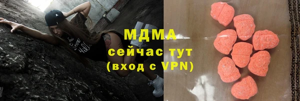 прущие грибы Бронницы