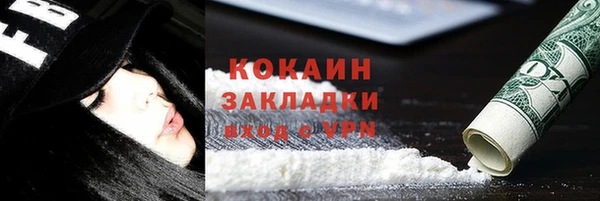 прущие грибы Бронницы