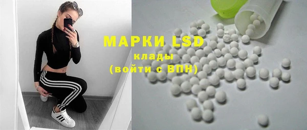 прущие грибы Бронницы