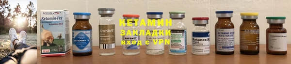 прущие грибы Бронницы