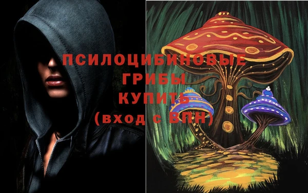 ПСИЛОЦИБИНОВЫЕ ГРИБЫ Бородино