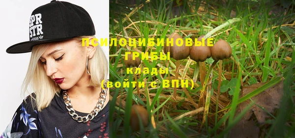 ПСИЛОЦИБИНОВЫЕ ГРИБЫ Бородино