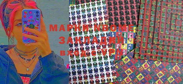 прущие грибы Бронницы