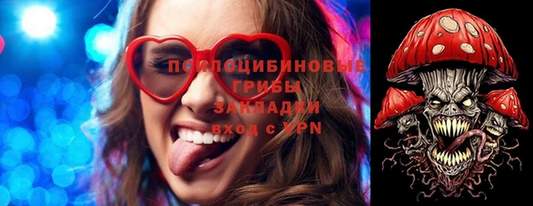 прущие грибы Бронницы