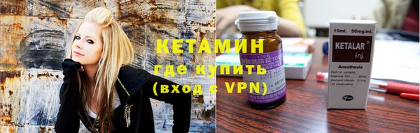 прущие грибы Бронницы