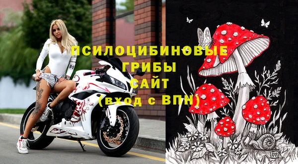 прущие грибы Бронницы