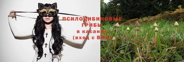 ПСИЛОЦИБИНОВЫЕ ГРИБЫ Бородино
