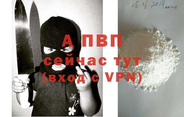 ПСИЛОЦИБИНОВЫЕ ГРИБЫ Бородино