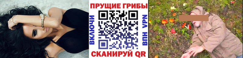 мориарти телеграм  Вуктыл  Псилоцибиновые грибы мицелий 